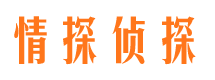 惠阳外遇出轨调查取证